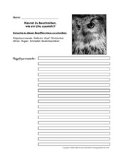 Uhu-Aussehen-beschreiben.pdf